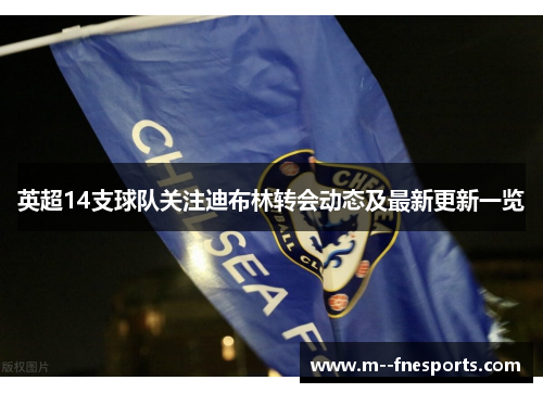 英超14支球队关注迪布林转会动态及最新更新一览