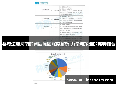 蓉城逆袭河南的背后原因深度解析 力量与策略的完美结合 蓉城逆袭河南的背后原因深度解析 力量与策略的完美结合