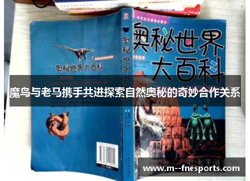 魔鸟与老马携手共进探索自然奥秘的奇妙合作关系 魔鸟与老马携手共进探索自然奥秘的奇妙合作关系